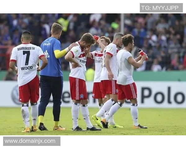 汉诺威96降级压力加大,客场不敌勒沃库森 汉诺威96降级压力加大,客场不敌勒沃库森